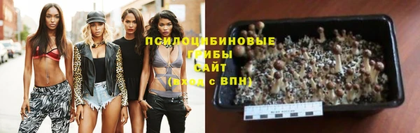 альфа пвп Елизово