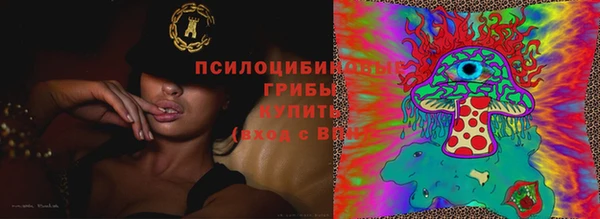 альфа пвп Елизово