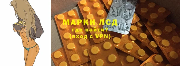 индика Елабуга