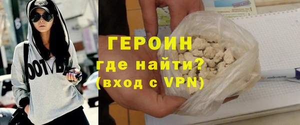 индика Елабуга