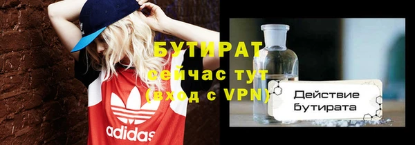индика Елабуга