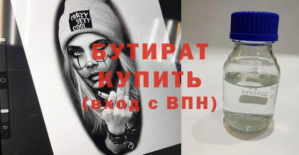 индика Елабуга