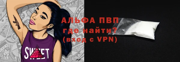 индика Елабуга