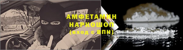 индика Елабуга