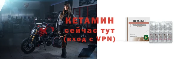 индика Елабуга
