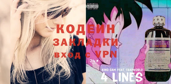 индика Елабуга