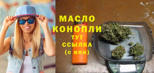 индика Елабуга