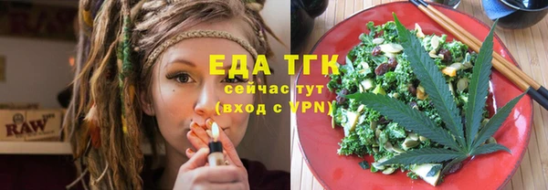 индика Елабуга