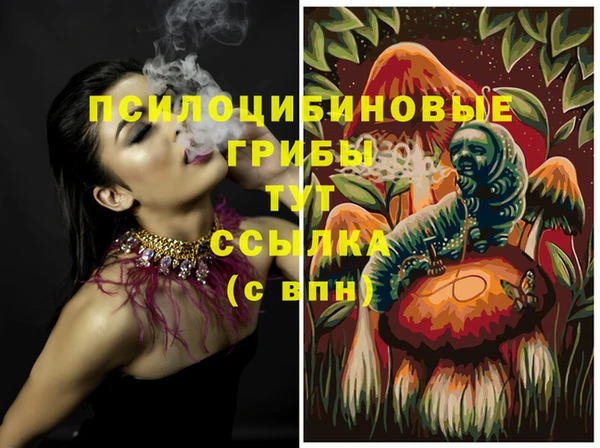 индика Елабуга