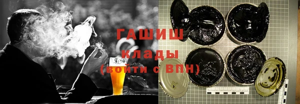 индика Елабуга