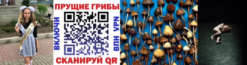 Купить закладки  Ковдор  Псилоцибиновые грибы мухоморы 